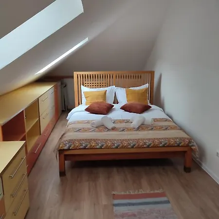 Retro House Mountain View 브라쇼브