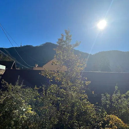 Retro House Mountain View Brasov