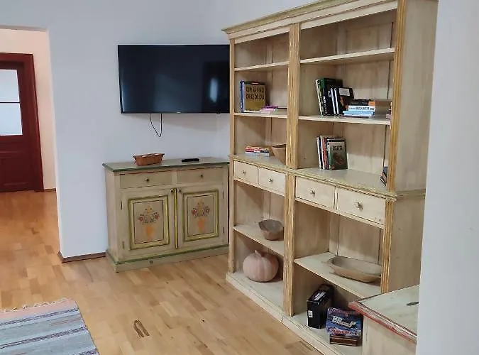 Retro House Mountain View * 브라쇼브