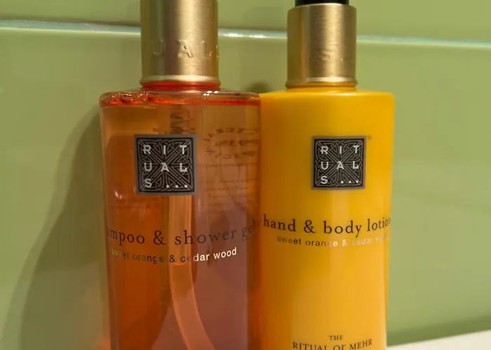 Apartament Retro House Mountain View