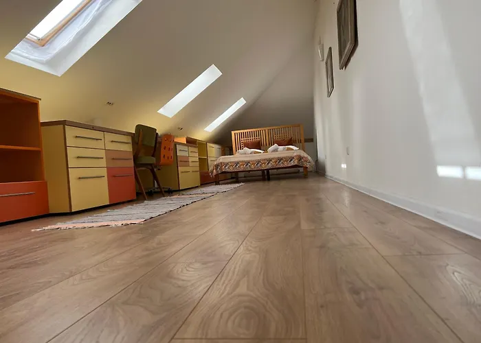 Apartament Retro House Mountain View