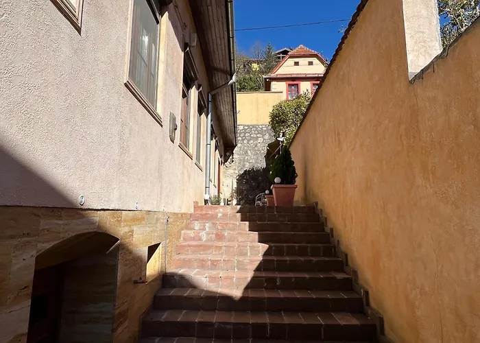 Retro House Mountain View Apartament *