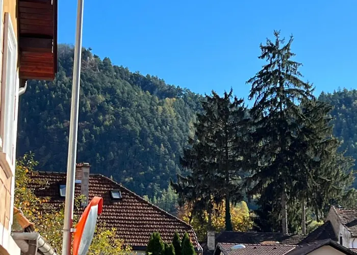 Apartament Retro House Mountain View